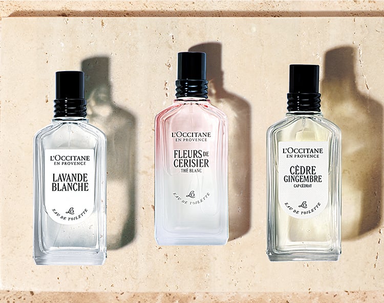 数量限定】テ・ブラン サクラ｜ロクシタン公式通販