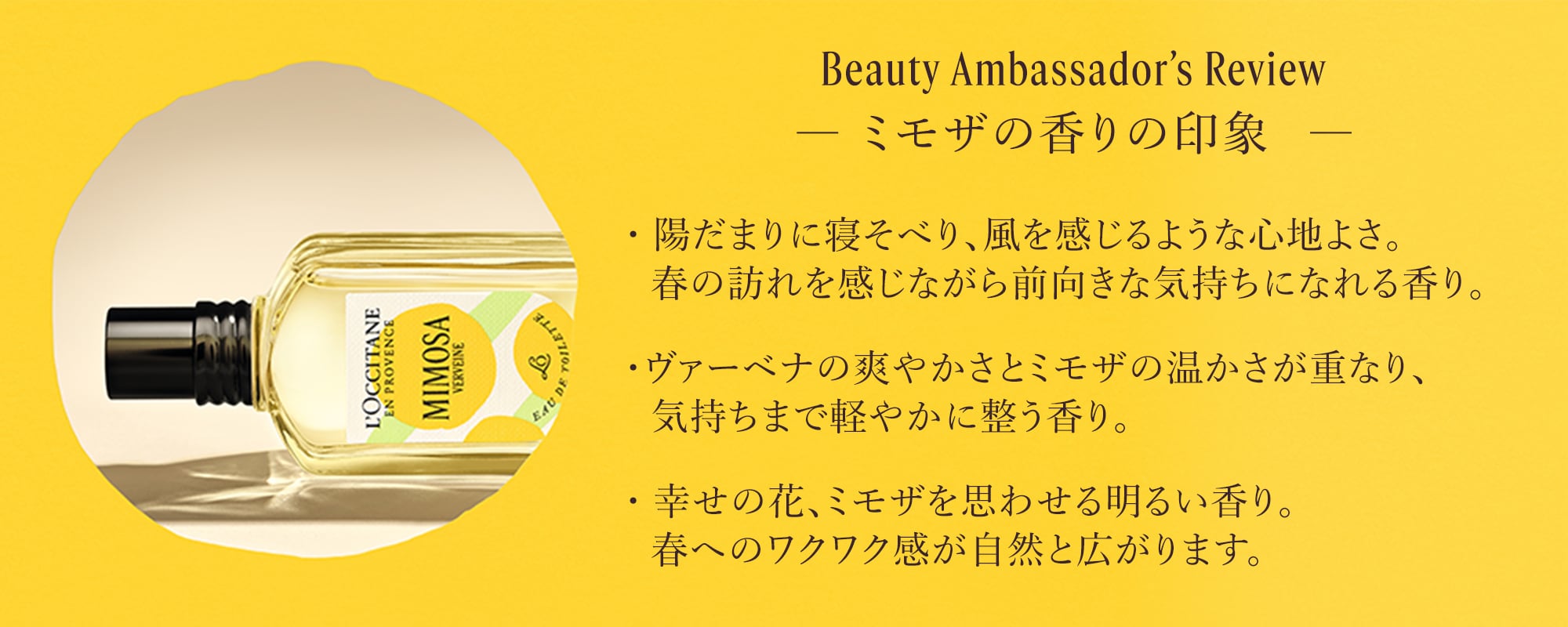 Beauty Ambassador’s Review