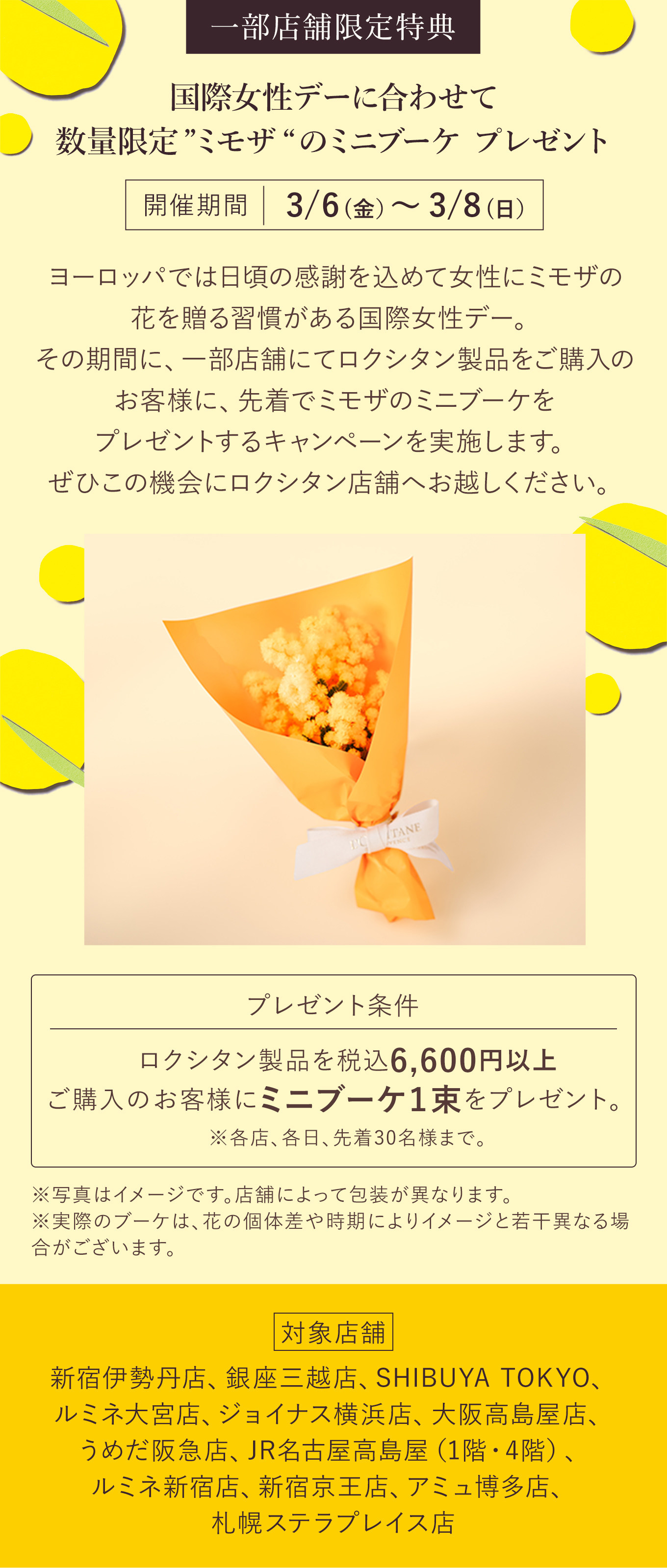 数量限定】ミモザ｜ロクシタン公式通販