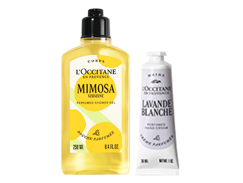 ロクシタン ミモザ オードトワレ【数量限定】50ML+ ハンドクリームホルダー ミモザ オードトワレ 50mL｜数量限定｜フレグランス｜ロクシタン公式通販
