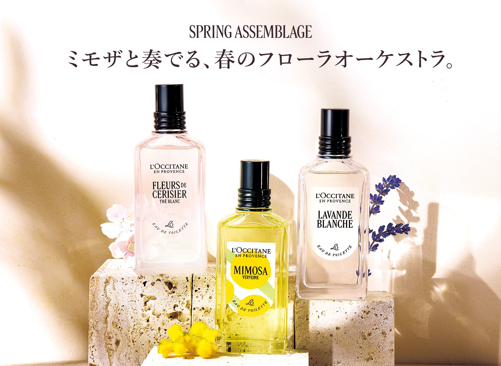 ミモザと奏でる、春のフローラオーケストラ。