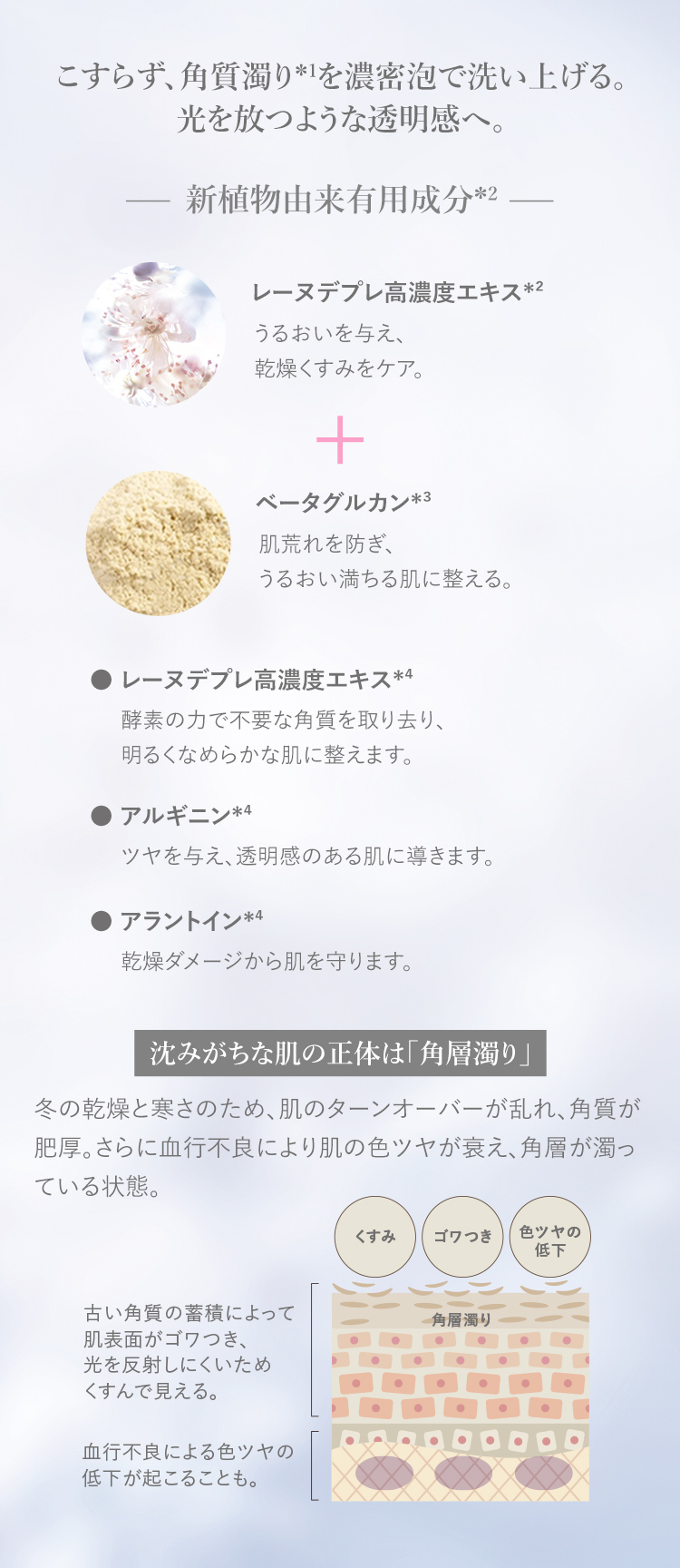 レーヌデプレ｜ロクシタン公式通販