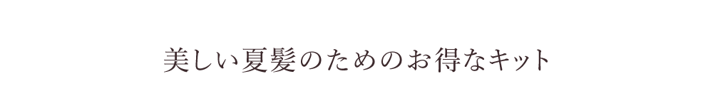 美しい夏髪のためのお得なキット