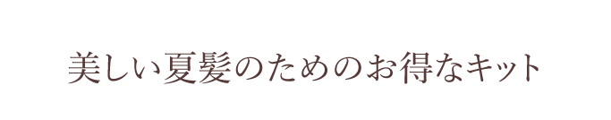 美しい夏髪のためのお得なキット