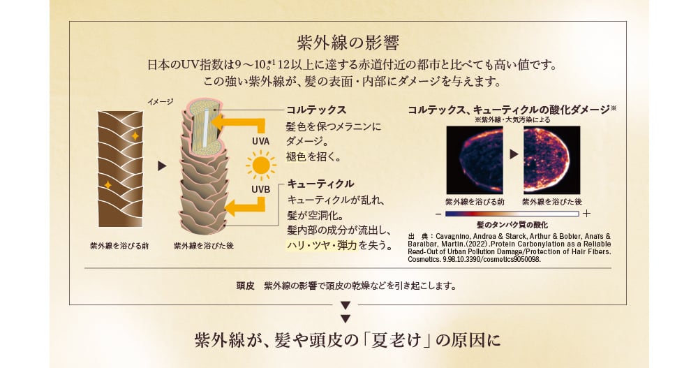 紫外線の影響