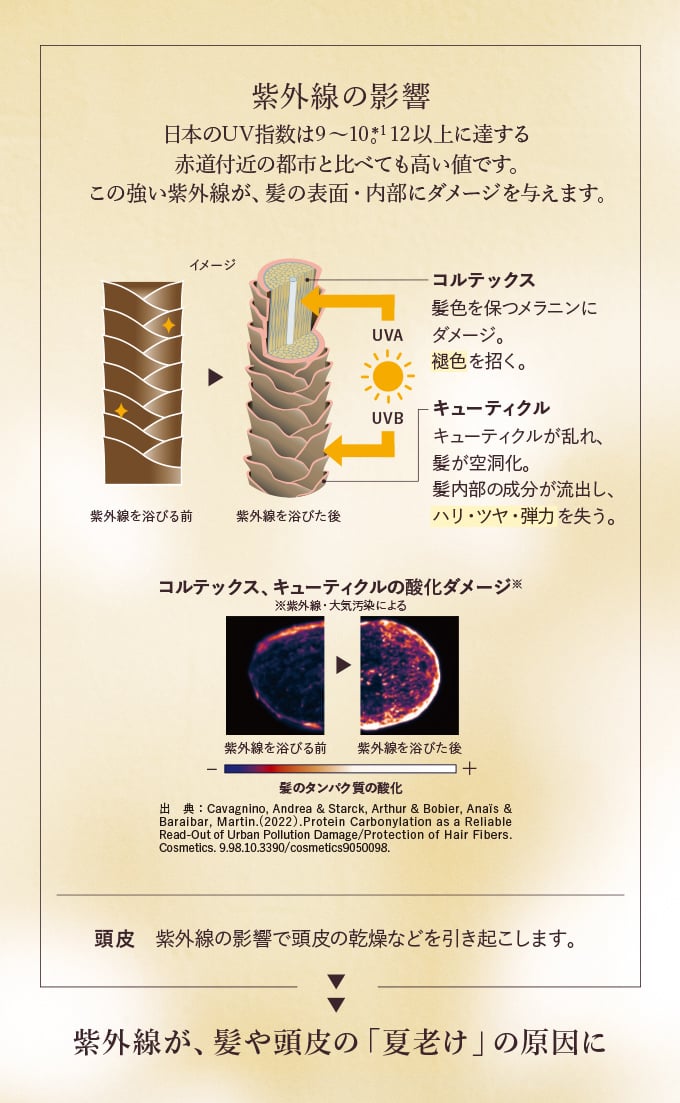 紫外線の影響