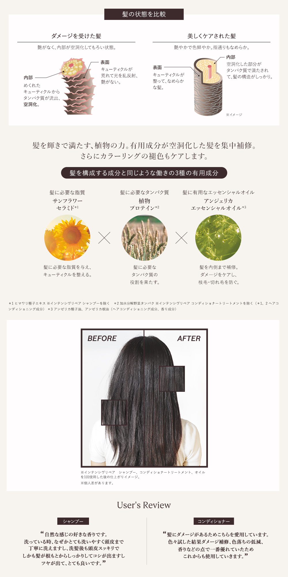 髪の状態を比較