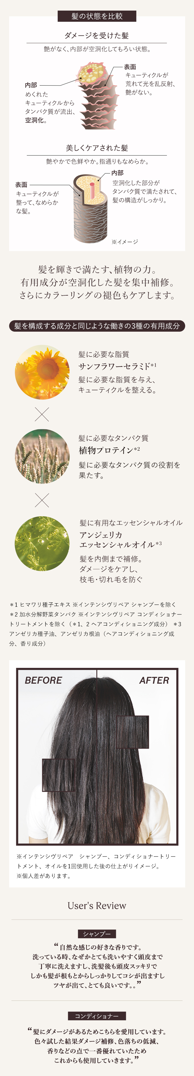 髪の状態を比較