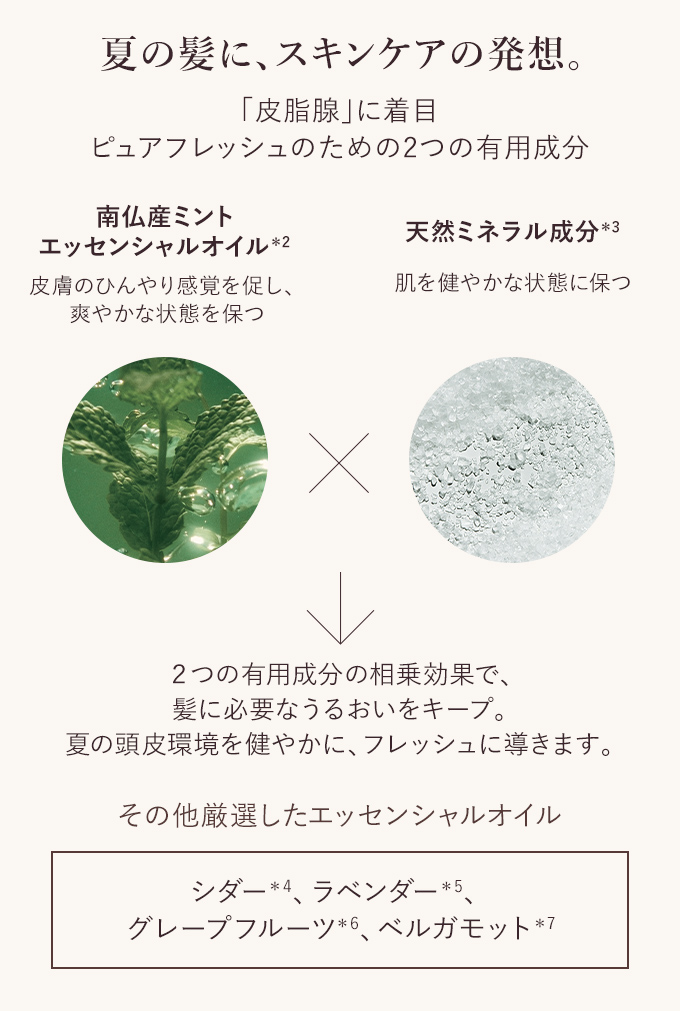 ロクシタンピュアフレッシュコンディショナー本体レフィル未使用品バスタオルおまけ付 11AS250P23.png