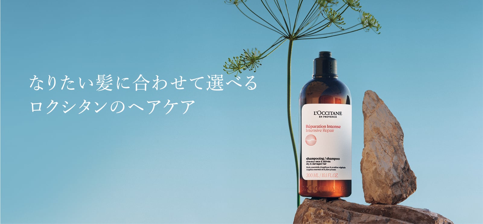 なりたい髪に合わせて選べるロクシタンのヘアケア
