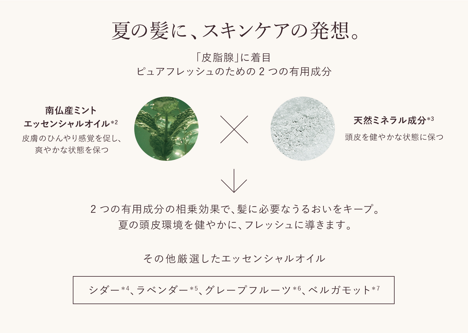 夏の髪に、スキンケアの発想。
