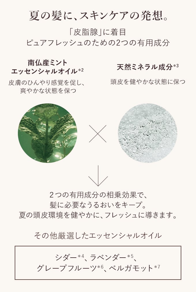 夏の髪に、スキンケアの発想。