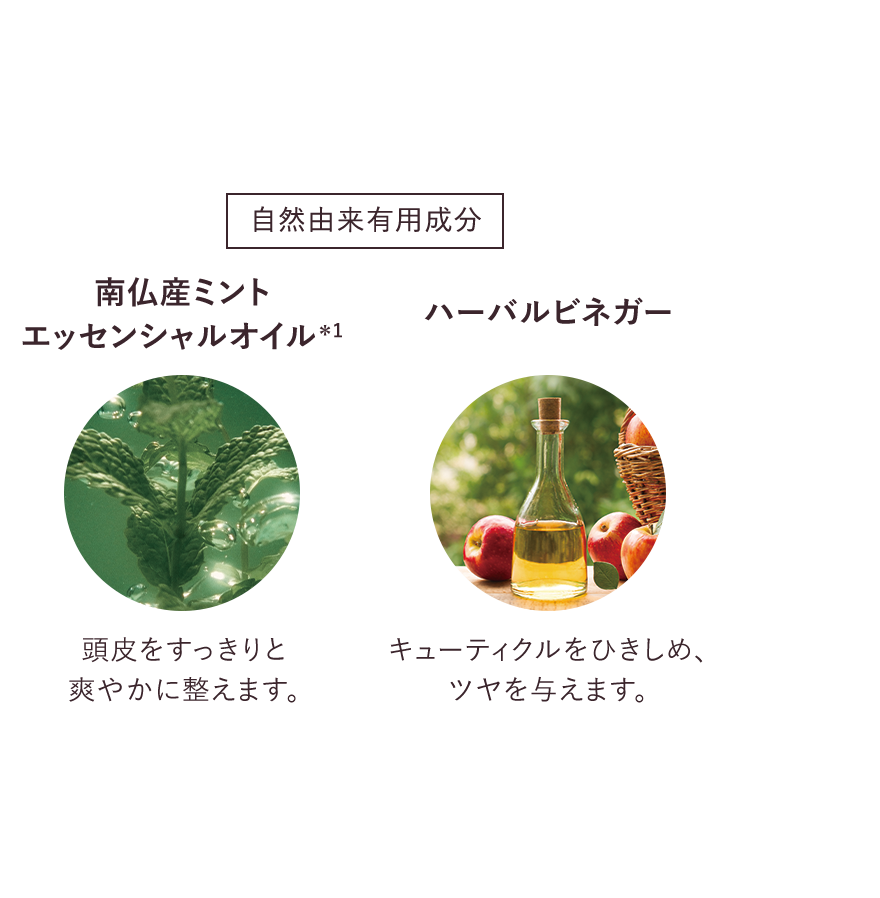 自然由来有用成分