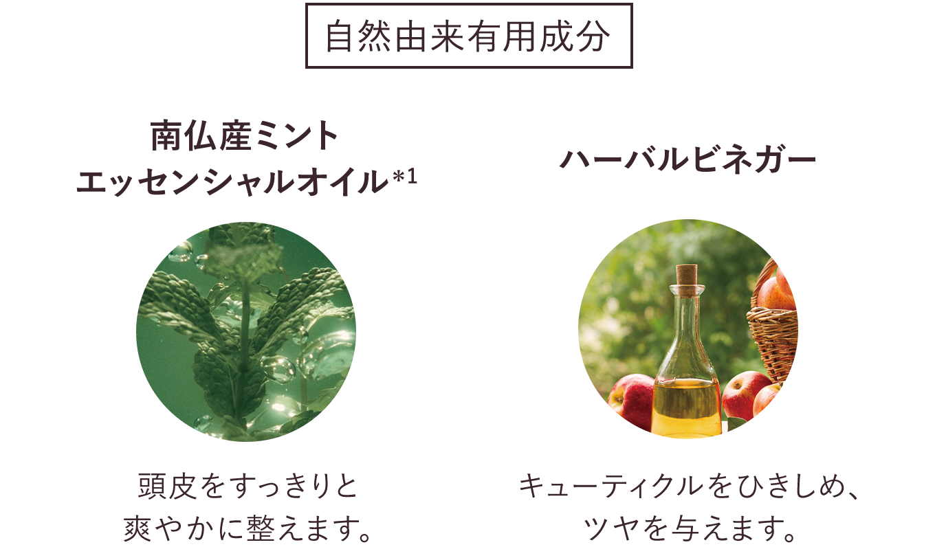 自然由来有用成分