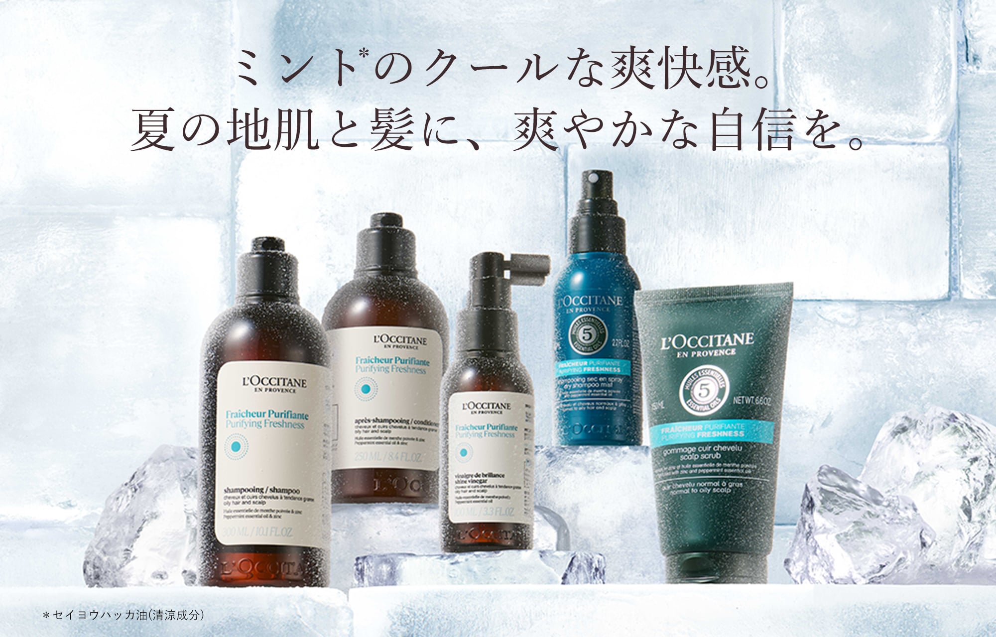 澄みわたる爽快感を、身体のすみずみまで。気分も、瞬感リフレッシュ。