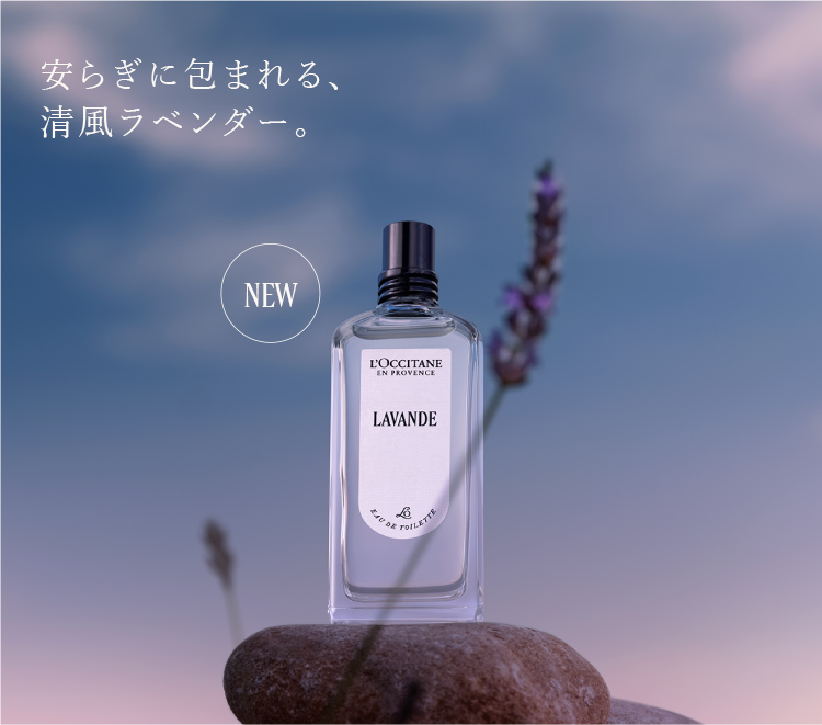ラヴァンド｜ロクシタン公式通販