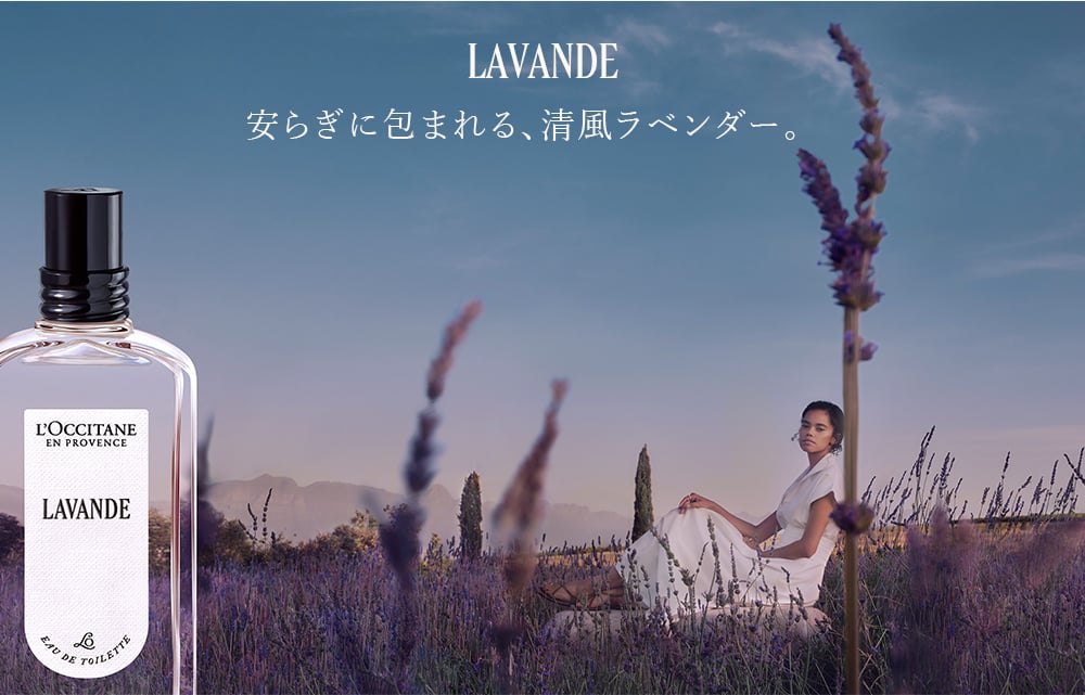 ラヴァンド｜ロクシタン公式通販