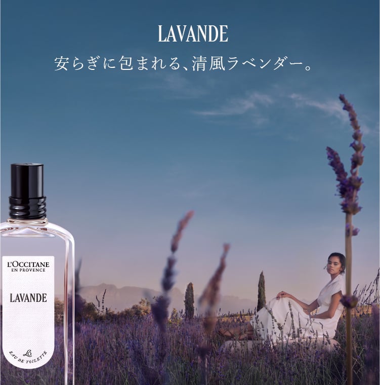 安らぎに包まれる、清風ラベンダー。