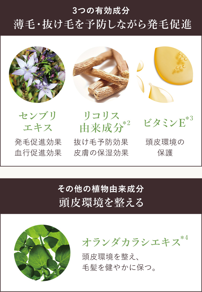 3つの有効成分・その他の植物由来成分の説明画像