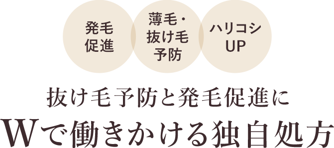 抜け毛予防と発毛促進にWで働きかける独自処方