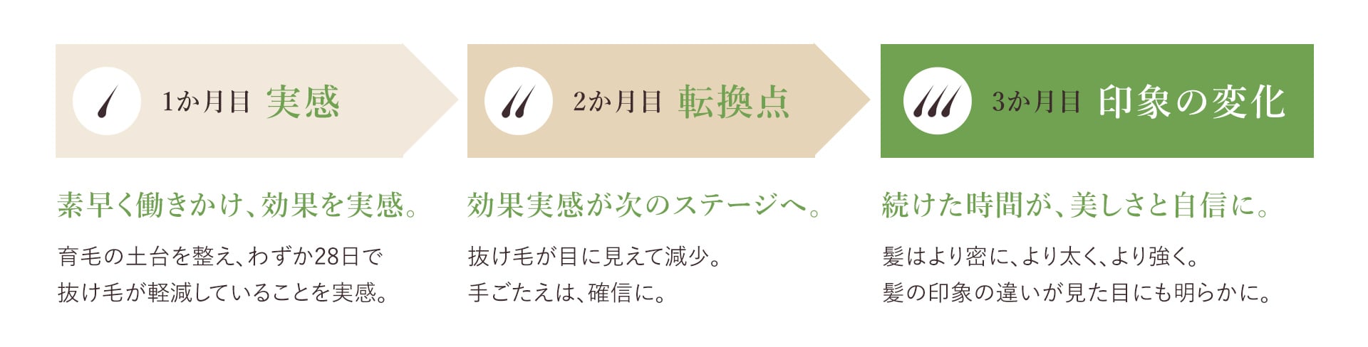 3か月の変化の図