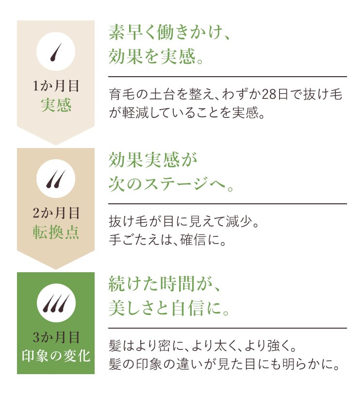 3か月の変化の図