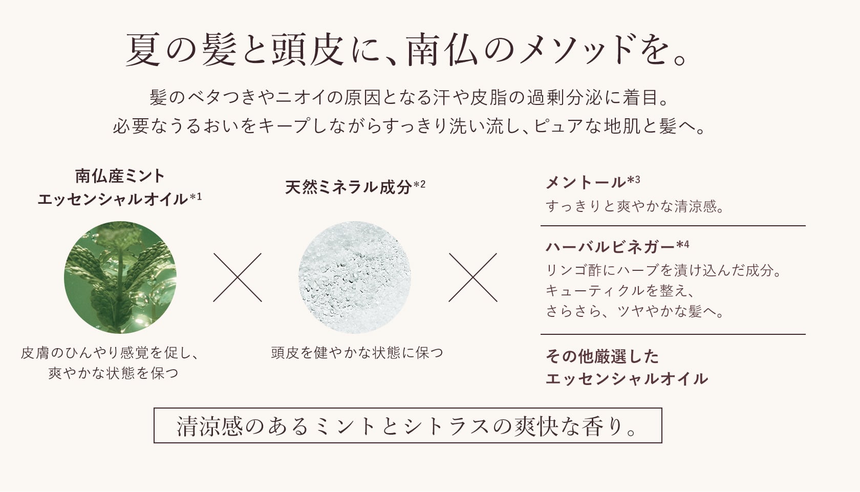 夏の髪と頭皮に、南仏のメソッドを。