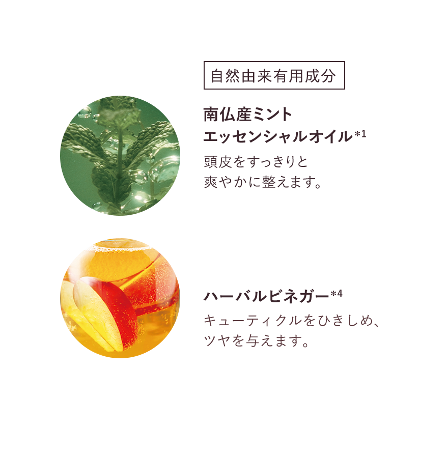 自然由来有用成分