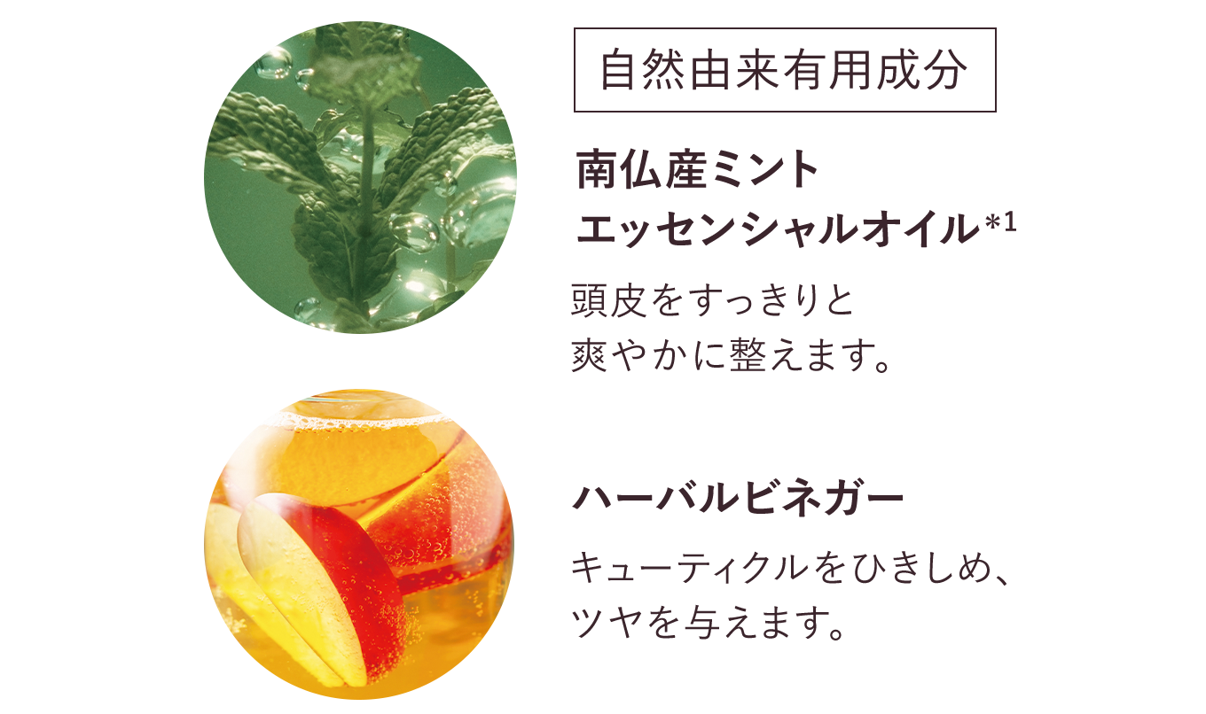 自然由来有用成分