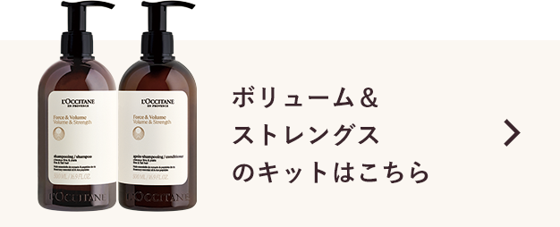 ボリューム＆ストレングスはこちら