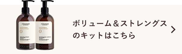 ボリューム＆ストレングスはこちら
