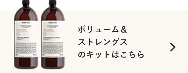 ボリューム＆ストレングスはこちら