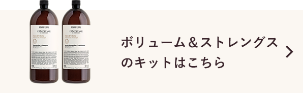 ボリューム＆ストレングスはこちら