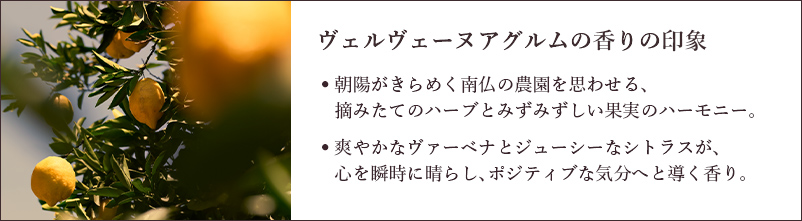ヴェルヴェーヌアグルムの香りの印象