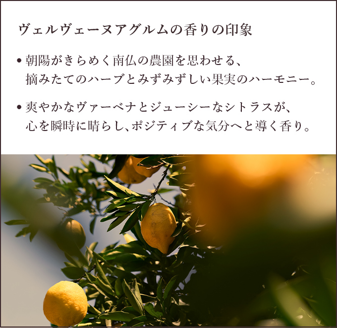 ヴェルヴェーヌアグルムの香りの印象