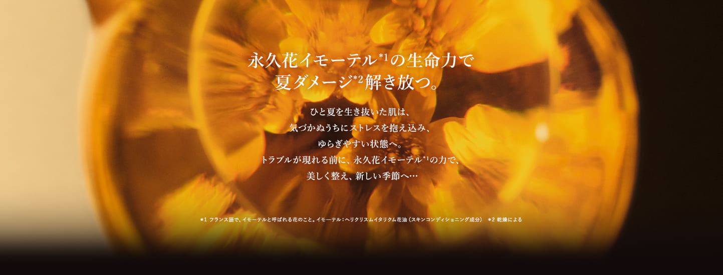 永久花イモーテルの生命力で夏ダメージ解き放つ。