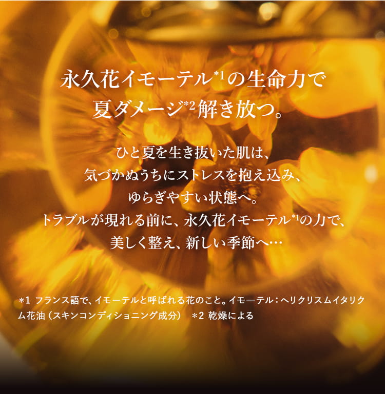 永久花イモーテルの生命力で夏ダメージ解き放つ。