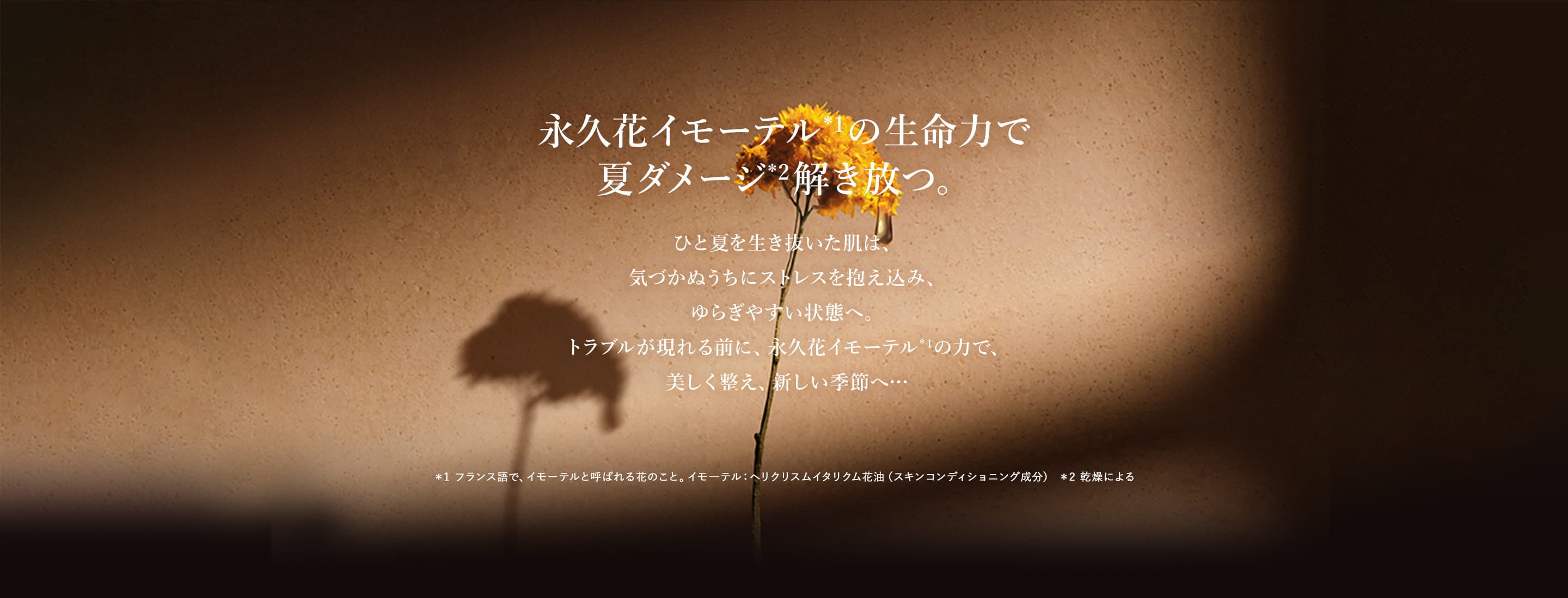 永久花イモーテルの生命力で夏ダメージ解き放つ。