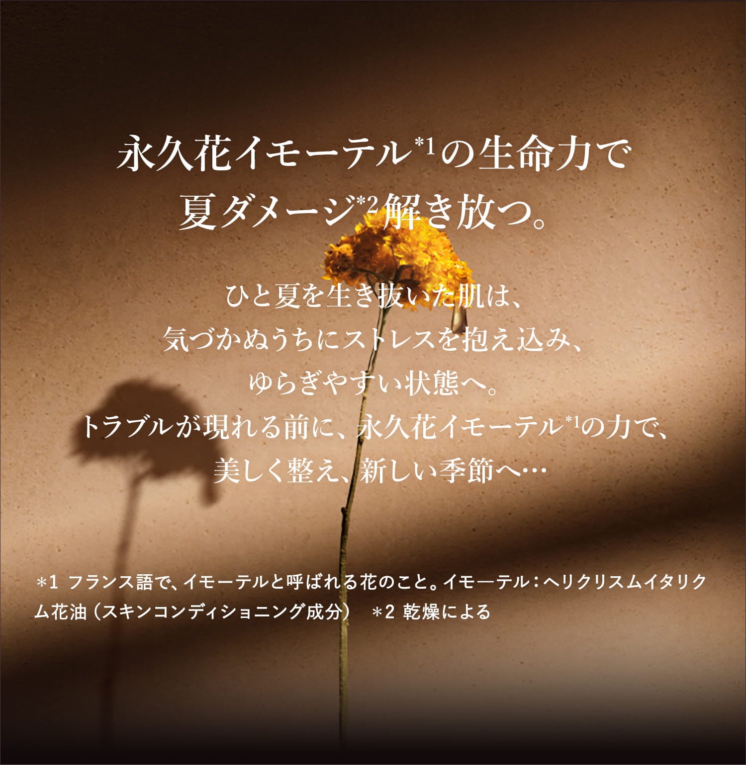 永久花イモーテルの生命力で夏ダメージ解き放つ。