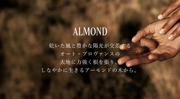 アマンドスブリーム｜ロクシタン公式通販