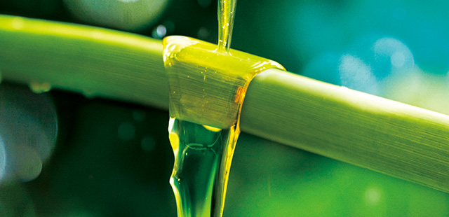 5 HERBS Home Spa Shampoo ヘアケアの基本はシャンプーから。 頭皮を気持ちよくマッサージしながら、地肌も、髪も、気持ちよく洗い上げて。