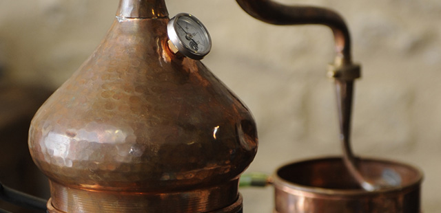 5 HERBS Home Spa Treatment 傷んだ毛先にはたっぷりめにつけて、 髪の内側と外側を植物パワーで補修。