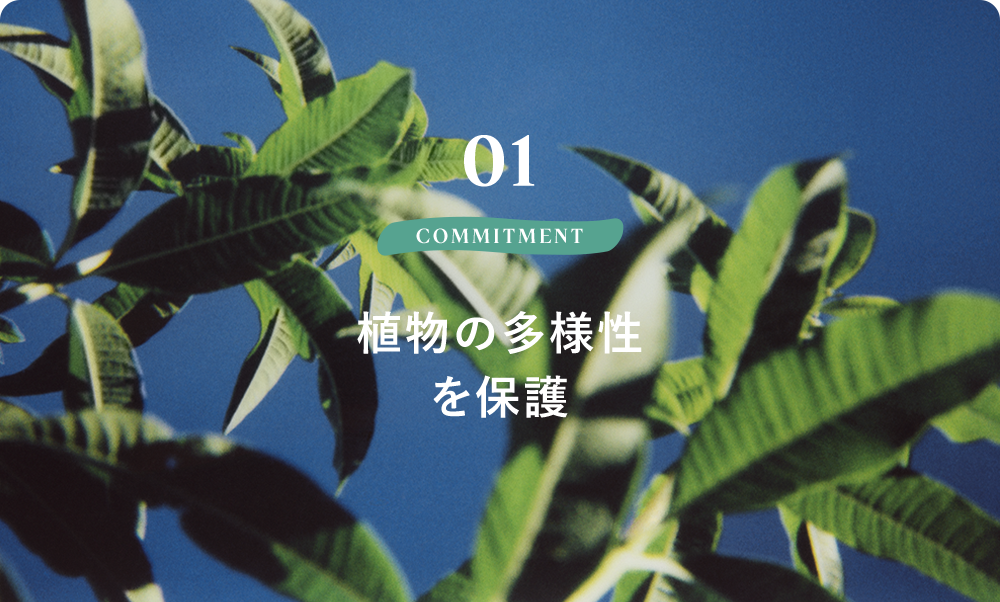 01 COMMITMENT Respecting Biodiversity 植物の多様性を保護