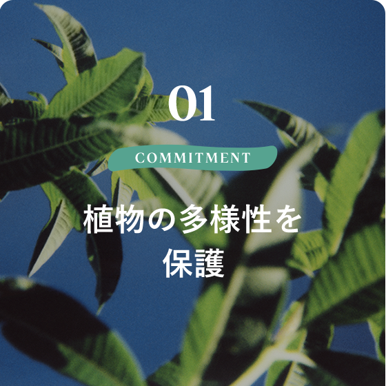 01 COMMITMENT Respecting Biodiversity 植物の多様性を保護
