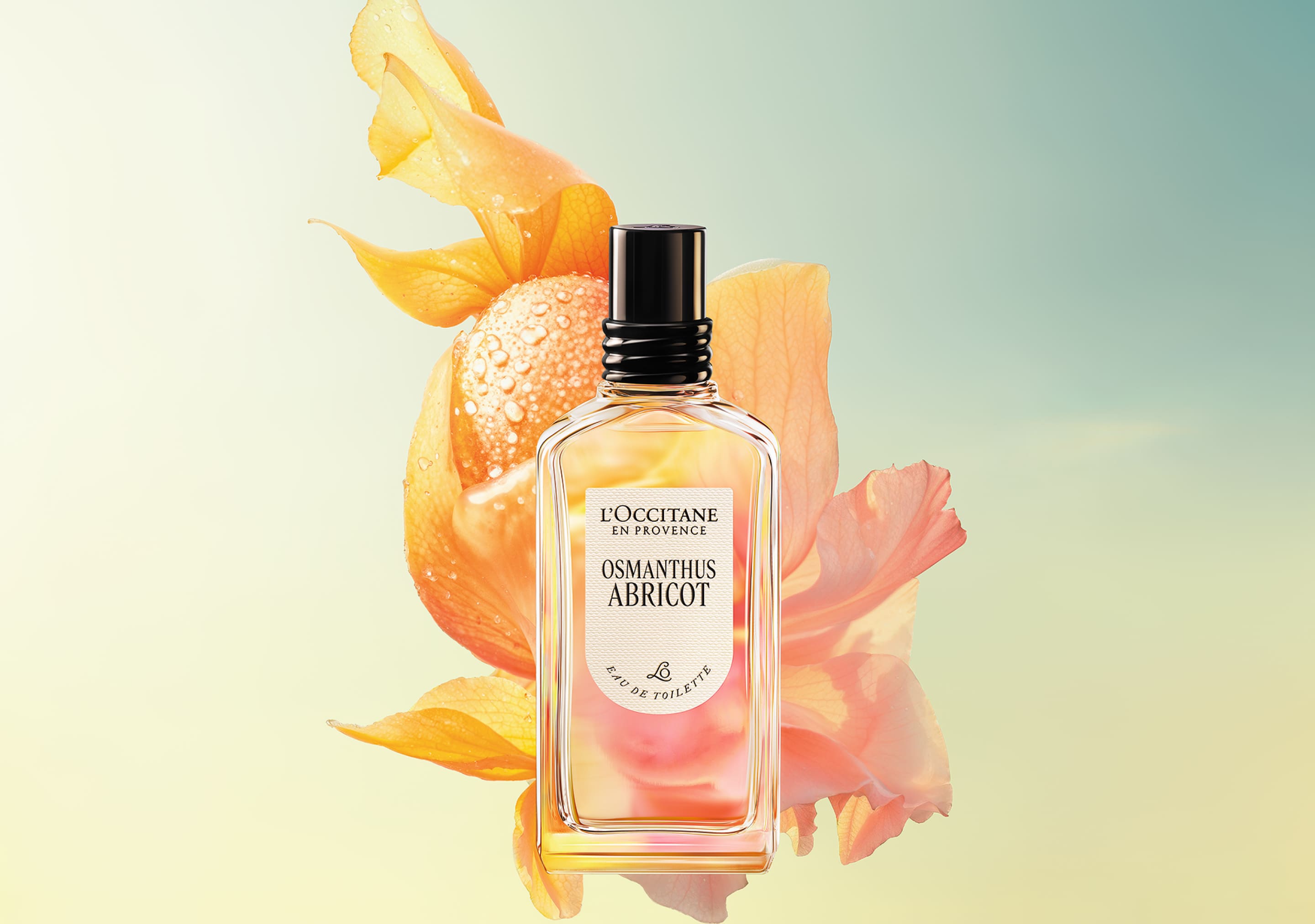 ロクシタン　OSMANTHUS 限定品登場】オスマンサス｜ロクシタン公式通販