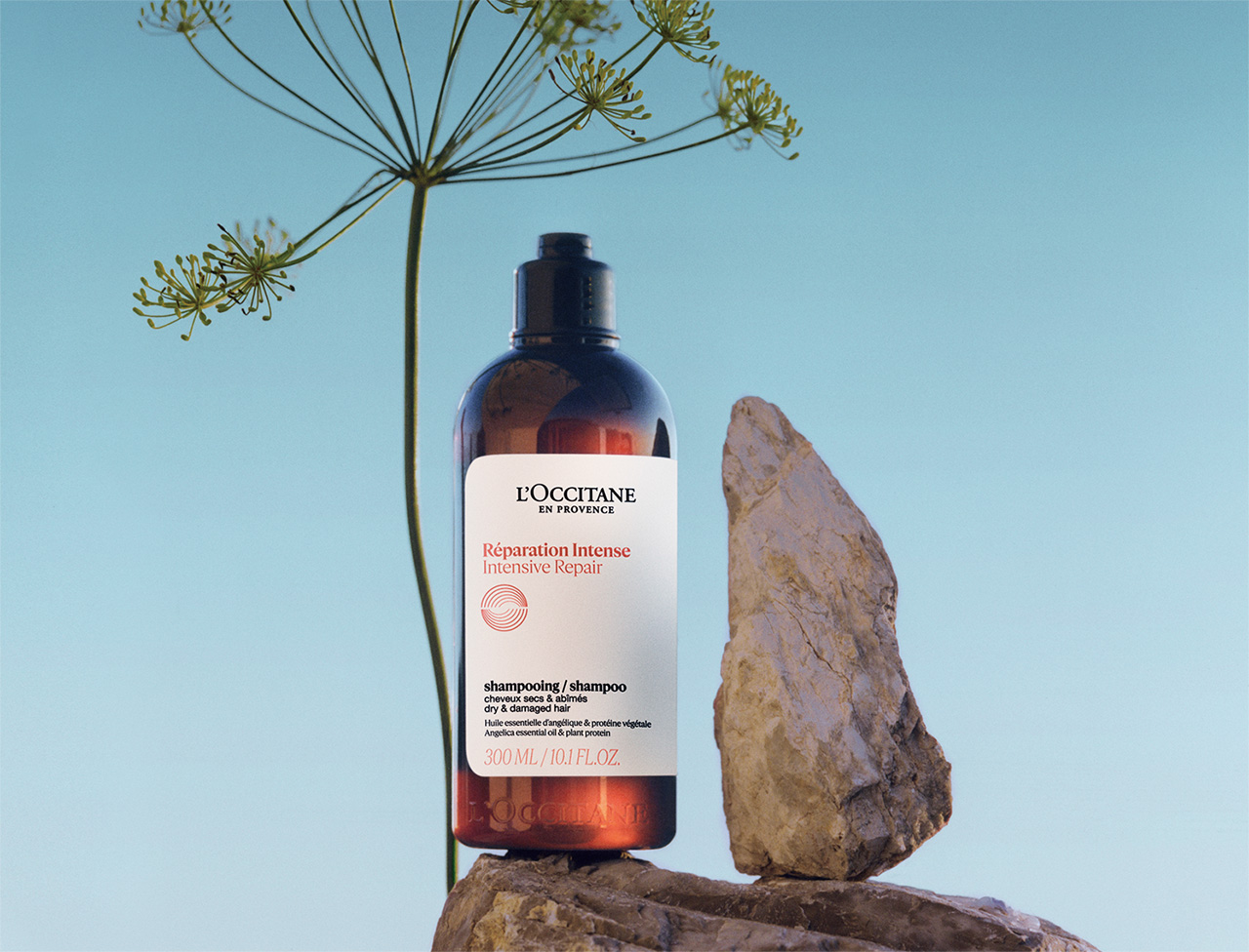 ハーブの力で、1年中満足の美髪へ。ロクシタンの ヘアケア｜ロクシタン