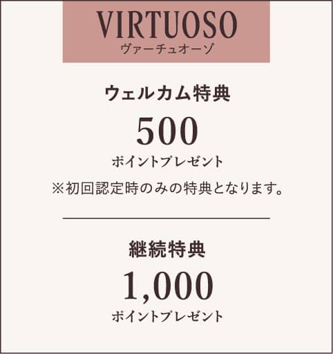 VIRTUOSOヴァーチュオーゾ 特典内容