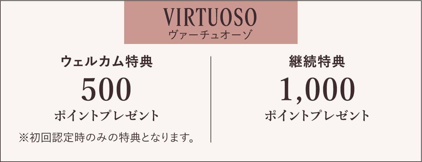 VIRTUOSOヴァーチュオーゾ 特典内容