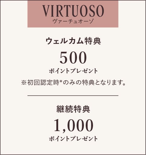 VIRTUOSOヴァーチュオーゾ 特典内容