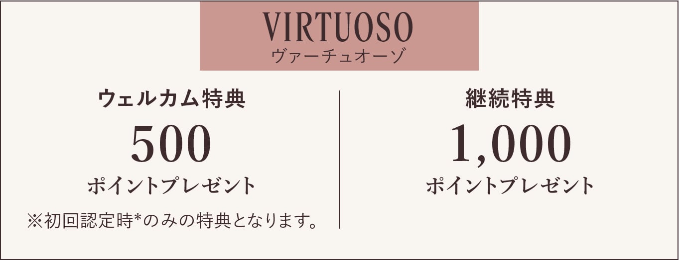 VIRTUOSOヴァーチュオーゾ 特典内容